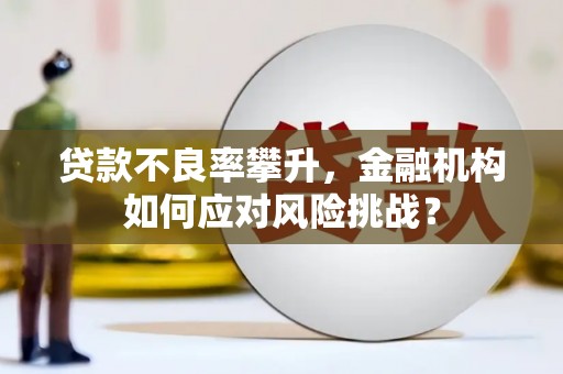 岢岚贷款不良率攀升，金融机构如何应对风险挑战？