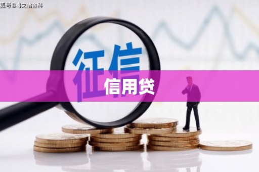 岢岚信用贷