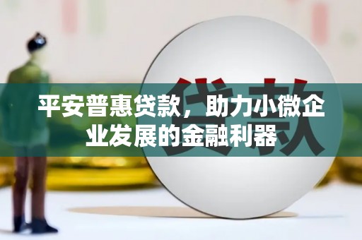 岢岚平安普惠贷款，助力小微企业发展的金融利器