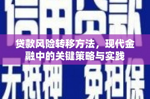 岢岚贷款风险转移方法，现代金融中的关键策略与实践
