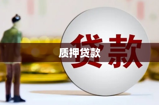 岢岚质押贷款