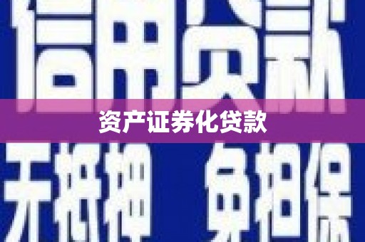 岢岚资产证券化贷款