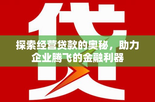 岢岚探索经营贷款的奥秘，助力企业腾飞的金融利器