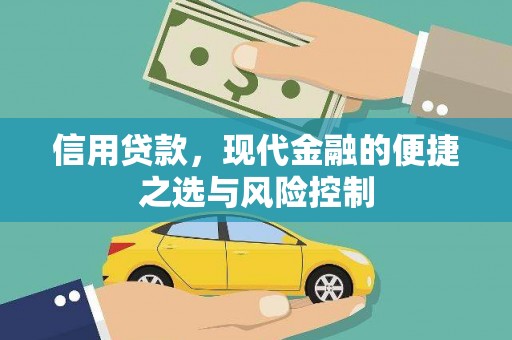 岢岚信用贷款，现代金融的便捷之选与风险控制