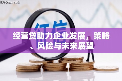 岢岚经营贷助力企业发展，策略、风险与未来展望