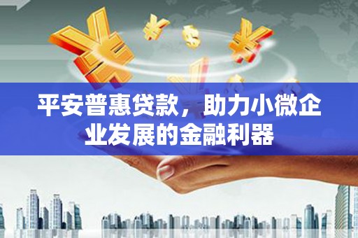 岢岚平安普惠贷款，助力小微企业发展的金融利器