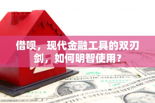 岢岚借呗，现代金融工具的双刃剑，如何明智使用？