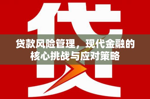 岢岚贷款风险管理，现代金融的核心挑战与应对策略