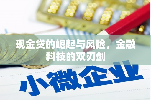 岢岚现金贷的崛起与风险，金融科技的双刃剑