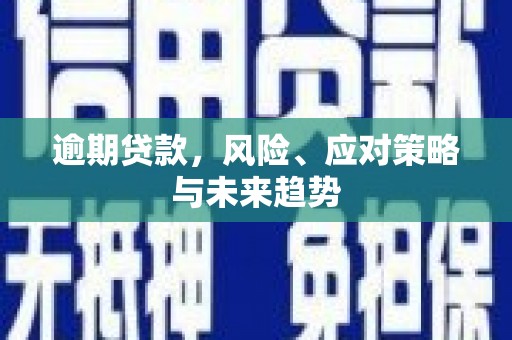 岢岚逾期贷款，风险、应对策略与未来趋势