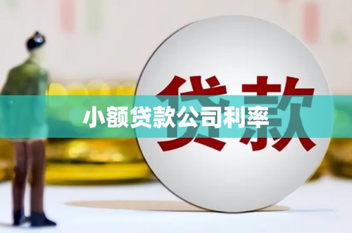 岢岚小额贷款公司利率