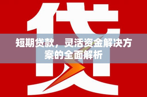 岢岚短期贷款，灵活资金解决方案的全面解析