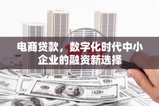 岢岚电商贷款，数字化时代中小企业的融资新选择