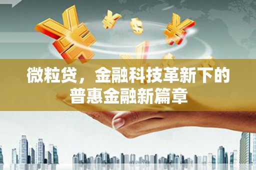 岢岚微粒贷，金融科技革新下的普惠金融新篇章