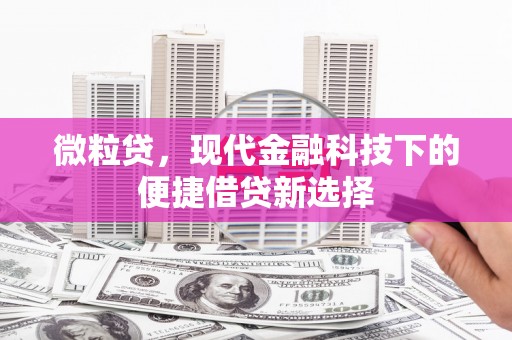 岢岚微粒贷，现代金融科技下的便捷借贷新选择