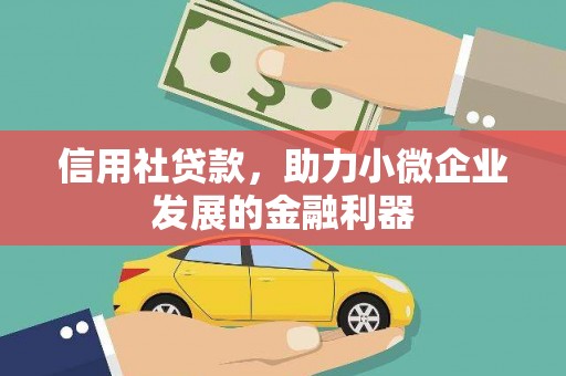 岢岚信用社贷款，助力小微企业发展的金融利器