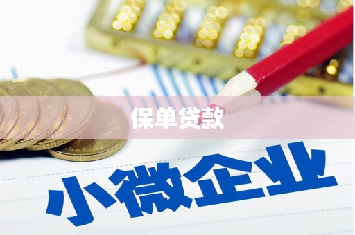 岢岚保单贷款