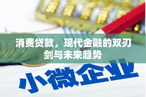岢岚消费贷款，现代金融的双刃剑与未来趋势