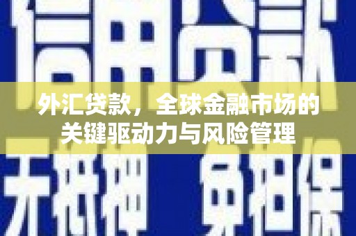 岢岚外汇贷款，全球金融市场的关键驱动力与风险管理