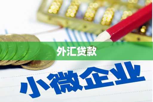 岢岚外汇贷款