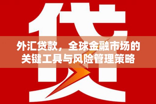 岢岚外汇贷款，全球金融市场的关键工具与风险管理策略