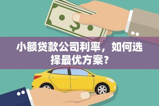 岢岚小额贷款公司利率，如何选择最优方案？