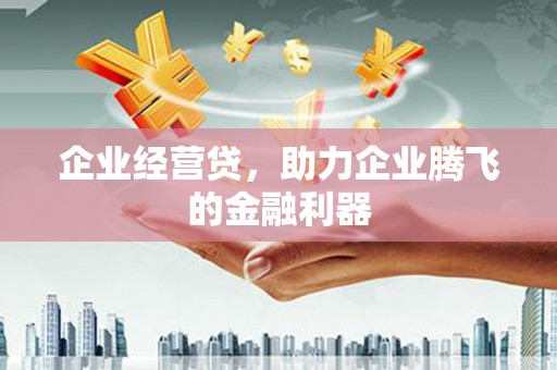 岢岚企业经营贷，助力企业腾飞的金融利器