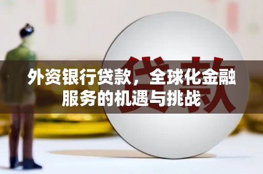 岢岚外资银行贷款，全球化金融服务的机遇与挑战