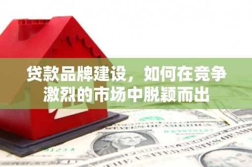 岢岚贷款品牌建设，如何在竞争激烈的市场中脱颖而出