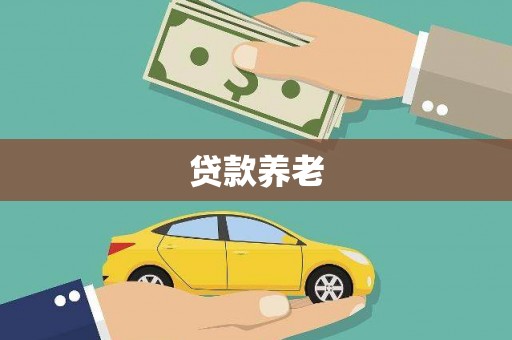 岢岚贷款养老