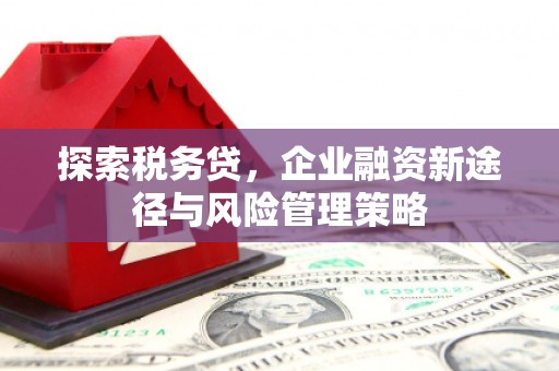 岢岚探索税务贷，企业融资新途径与风险管理策略