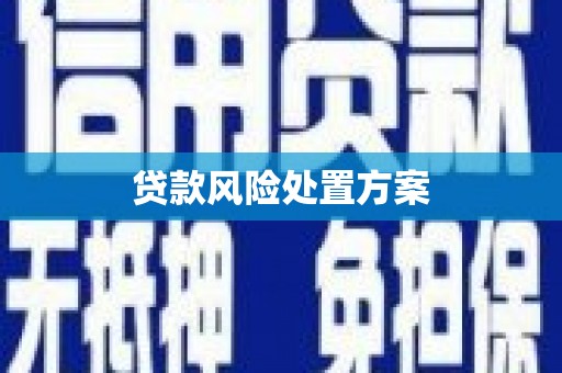 岢岚贷款风险处置方案