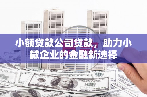 岢岚小额贷款公司贷款，助力小微企业的金融新选择