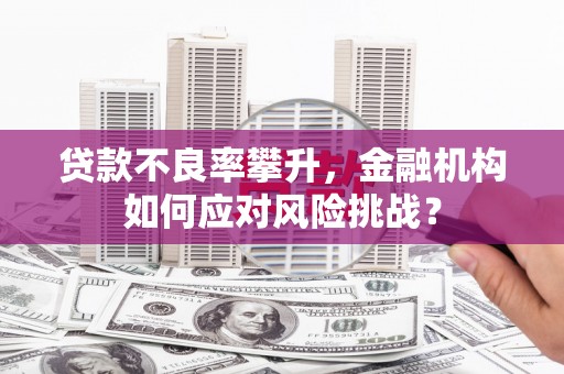 岢岚贷款不良率攀升，金融机构如何应对风险挑战？