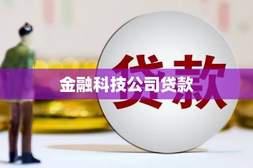 岢岚金融科技公司贷款