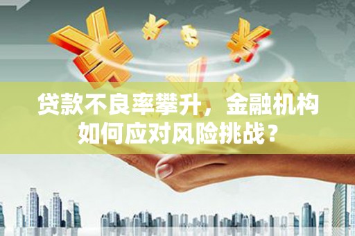 岢岚贷款不良率攀升，金融机构如何应对风险挑战？
