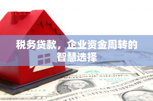 岢岚税务贷款，企业资金周转的智慧选择