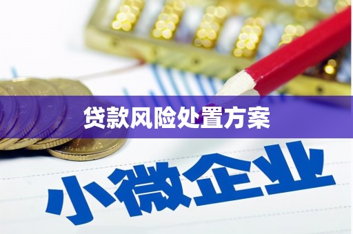 岢岚贷款风险处置方案