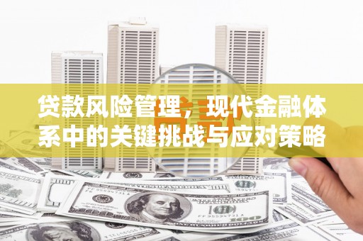 岢岚贷款风险管理，现代金融体系中的关键挑战与应对策略