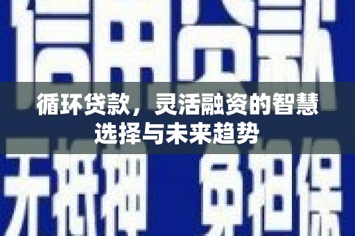 岢岚循环贷款，灵活融资的智慧选择与未来趋势