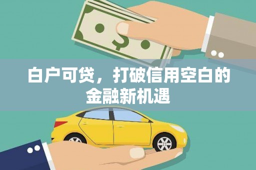 岢岚白户可贷，打破信用空白的金融新机遇