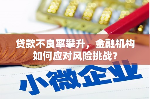 岢岚贷款不良率攀升，金融机构如何应对风险挑战？
