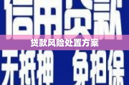 岢岚贷款风险处置方案