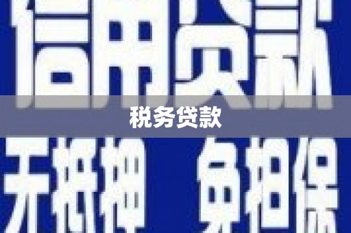 岢岚税务贷款