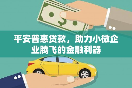 岢岚平安普惠贷款，助力小微企业腾飞的金融利器