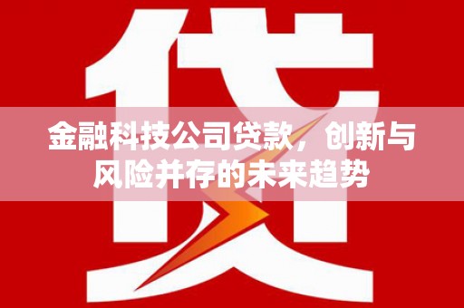 岢岚金融科技公司贷款，创新与风险并存的未来趋势