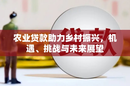 岢岚农业贷款助力乡村振兴，机遇、挑战与未来展望
