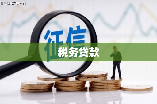 岢岚税务贷款
