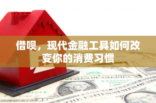岢岚借呗，现代金融工具如何改变你的消费习惯