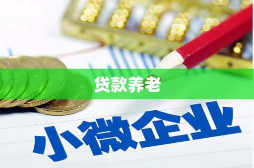 岢岚贷款养老